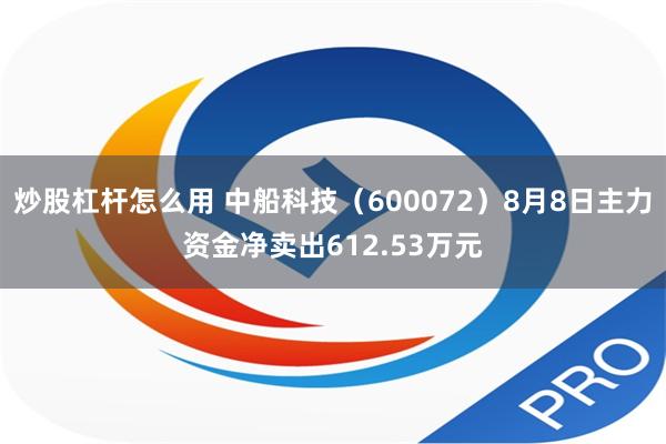 炒股杠杆怎么用 中船科技（600072）8月8日主力资金净卖出612.53万元