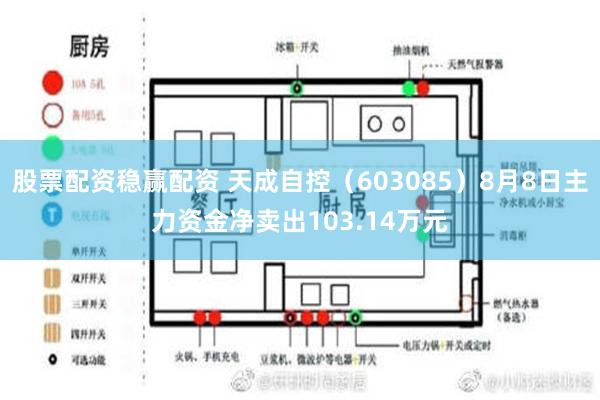 股票配资稳赢配资 天成自控（603085）8月8日主力资金净卖出103.14万元