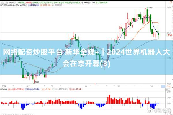 网络配资炒股平台 新华全媒+｜2024世界机器人大会在京开幕(3)