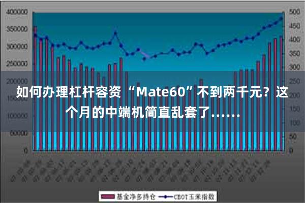 如何办理杠杆容资 “Mate60”不到两千元？这个月的中端机简直乱套了……