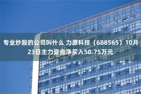 专业炒股的公司叫什么 力源科技（688565）10月23日主力资金净买入50.75万元