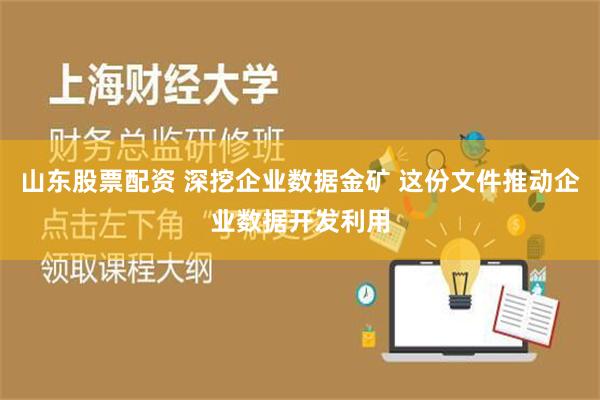 山东股票配资 深挖企业数据金矿 这份文件推动企业数据开发利用