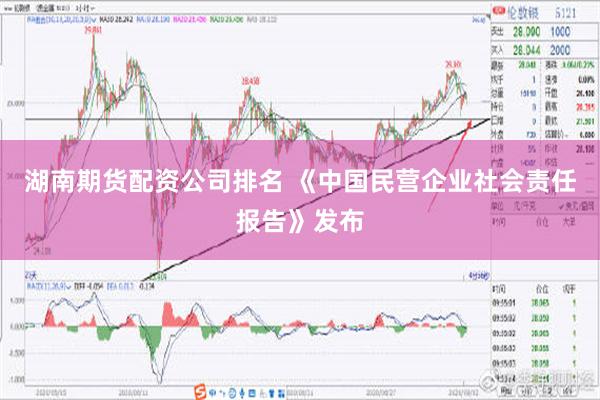 湖南期货配资公司排名 《中国民营企业社会责任报告》发布