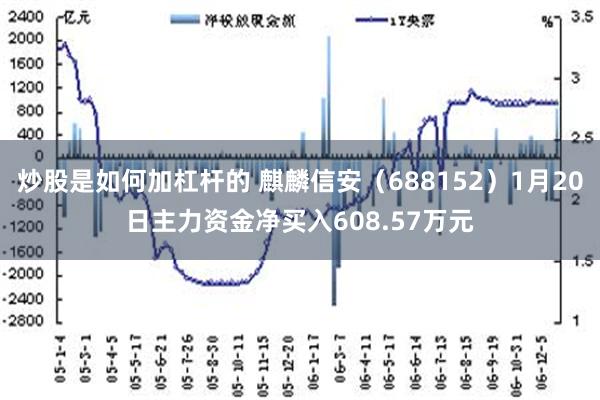 炒股是如何加杠杆的 麒麟信安（688152）1月20日主力资金净买入608.57万元